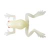 Leurre Souple Tiemco Wild Frog - 3.2Cm - Par 3 - Albino Frog