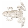 Leurre Souple Dranckrazy Whipper - 5Cm - Par 2 - Albino Frog