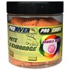 Pâte D'enrobage Proriver Procarpe - Ar00804