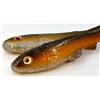 Leurre Souple Bonibaits Happy Slim - 18Cm - Bait Fish 2