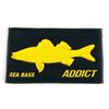 Scratch Interchangeable Fishxplorer Pour Casquette / Bonnet Addict - Bar - Noir