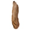 Patte De Lievre Fly Scene Snowshoe Rabbit - Beige