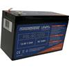 Batterie Lithium Power Sonic Lifepo4 Power Sonic Sans Chargeur Pour Sondeur - Bl1207