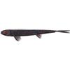 Leurre Souple Westin Twinteez Pelagic V-Tail - 14Cm - Par 2 - Black Mamba
