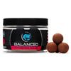 Hook Baits Any Water Balanced Boilies - Blts16