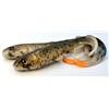 Gummifisch Bonibaits Happy Hybrid - Boni-Hh24-Bur