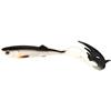 Leurre Souple Mikado Sicario Pike Tail - 24Cm - Bream