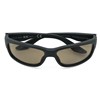 Lunettes Polarisantes Gamakatsu Gspecx Biwa - Brown