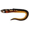 Leurre Souple Fox Rage Slick Eel - 42Cm - Burbot