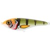 Leurre Coulant Cwc Buster Silent - 15Cm - C11