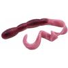 Soft Lure 10Ftu Candeel - 20.3Cm - Pack Of 6 - Cand-8In-#4Worm