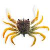 Soft Lure Chasebaits Crusty Crab 50 - 5Cm - Pack Of 2 - Cc50-16