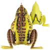 Esca Morbida Lunker Hunt Combat Frog 2.5 - 6.3Cm - Cf02