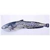 Catfish Cushion Gaby - Cgaby-Sil-200Cm