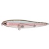 Oppervlakte Lokaas Luna Baits Chihuahua - 11Cm - Chi-Chi110-04
