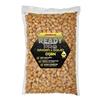 Graine Cuite Starbaits Ready Seeds Ginger Squid - Corn - 1Kg