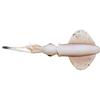Leurre Souple Savage Gear Swim Squid Lrf - 5Cm - Par 5 - Cuttlefish