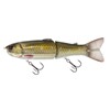 Leurre Coulant Savage Gear Wide Glide Scandal - 25Cm - Dirty Roach