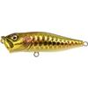 Leurre De Surface Megabass Pop X - 6.5Cm - Dragon Fish G