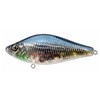Leurre Coulant Dranckrazy Kenbu - 11Cm - Ds Gill