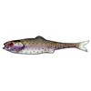 Soft Lure Lmab Finesse Filet 9.5Cm - Pack Of 4 - Filet7-Rainbowtrout
