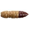 Esca Artificiale Morbida Fishup Pupa Trout Serie - 2Cm - Pacchetto Di 12 - Fis-Pupat0.9-138