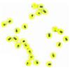 Bille Tungstène Fly Scene Tungsten Beads Powder Painted - Fluo Chartreuse - 2Mm
