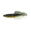 Leurre Souple Chasebaits Flacid Shad - 7Cm - Par 7 - Fsh3-103