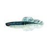 Leurre Souple Chasebaits Flacid Shad - 7Cm - Par 7 - Fsh3-108