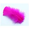 Plume De Dinde Tof - Fuchsia