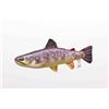 Cushion Brown Trout Gaby - Gp-175112