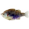 Leurre Coulant Deps Tiny Bullshooter Shudder Tail - 10Cm - Grass Gill
