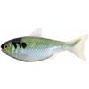 Leurre Souple Live Target Unrigged Shad 5,5 - 14Cm - Par 2 - Green Cream