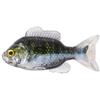 Leurre Souple Live Target Sunfish Unrigged - 8.5Cm - Par 2 - Green Pearl