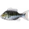 Leurre Souple Live Target Unrigged Sunfish 4,3 - 11Cm - Par 2 - Green Pearl
