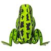Leurre De Surface Lunker Hunt Popping Frog - 5.7Cm - Green Tea