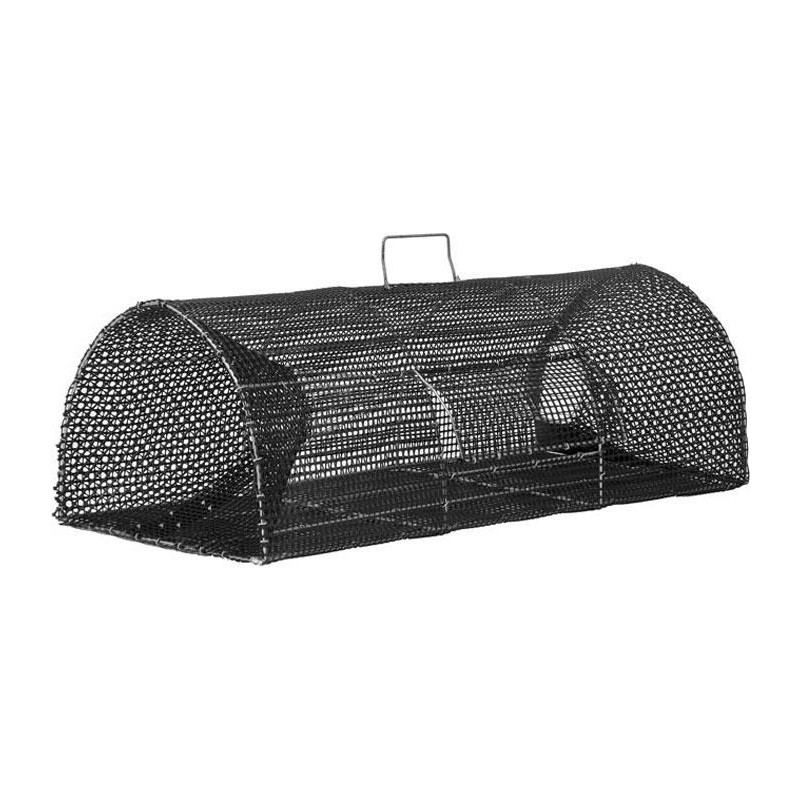campmaster dome 200 tent