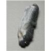 Patte De Lievre Fly Scene Snowshoe Rabbit - Grisatre Foncé