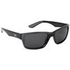 Lunettes Polarisantes Fox Matrix Trans Black - Gsn002