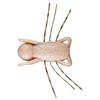 Soft Lure Reins Hanesecter 3.5Cm - Pack - Hanesecter-04
