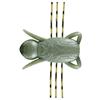 Soft Lure Reins Hanesecter 3.5Cm - Pack - Hanesecter-F02