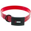 Dog Collar I-Dog Premium - I152502