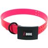 Collar Para Perro I-Dog Premium - I152503
