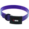 Dog Collar I-Dog Premium - I152508