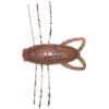 Gummifisch Reins Insecter 4Cm - 5Er Pack - Insecter1.6-07