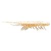 Soft Lure Magbite Snatch Bite Shrimp 2,5” - 6.3Cm - Pack Of 6 - Izmbw062503