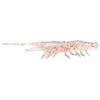 Soft Lure Magbite Snatch Bite Shrimp 2,5” - 6.3Cm - Pack Of 6 - Izmbw062505