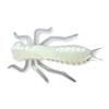 Esca Artificiale Morbida Crazy Fish Kasari 1.6 - 4Cm - Pacchetto Di 6 - Kasari16-89