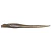 Leurre Souple Megabass Hazedong 5 - 12.5Cm - Par 7 - Light Watermelon