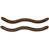 Leurre Souple Toppies Wormius - 9.5Cm - Par 8 - Mud Pepper